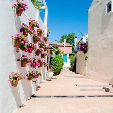 El Torico * Marbella